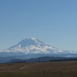 Meet your Posher, Shianne